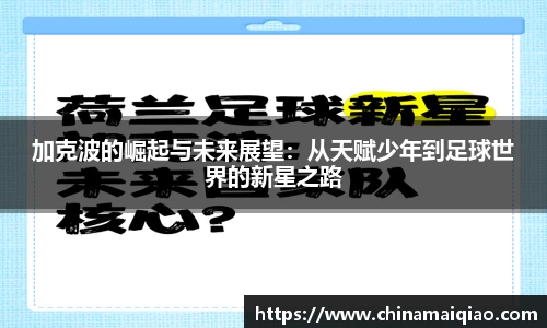 pp电子官网